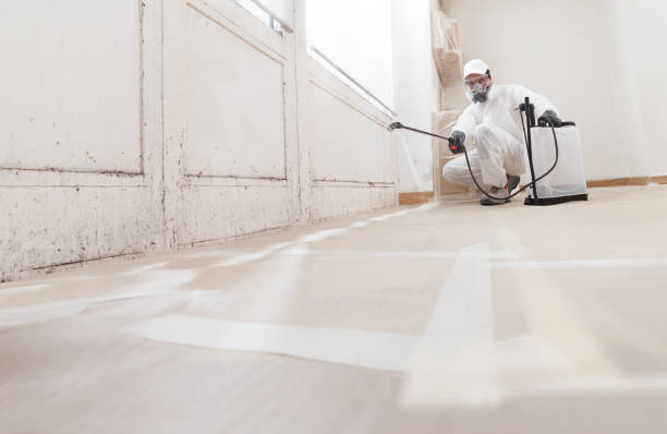 24/7 Emergency Basement Mold Removal experts in Lewisberry, PA