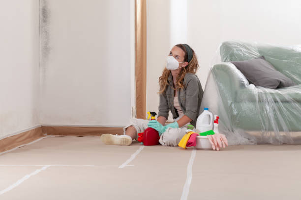 Reliable Basement Mold Removal contractor in Lewisberry, PA by WQB Mold Removal